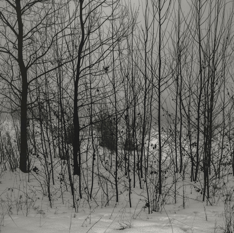 Зимові сутінки, туман та сум