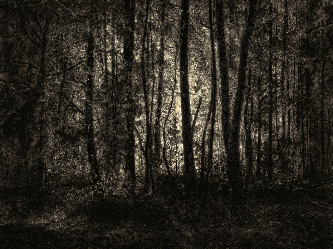 Чарівне світло 