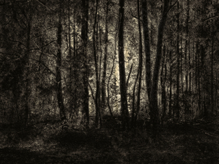 Чарівне світло