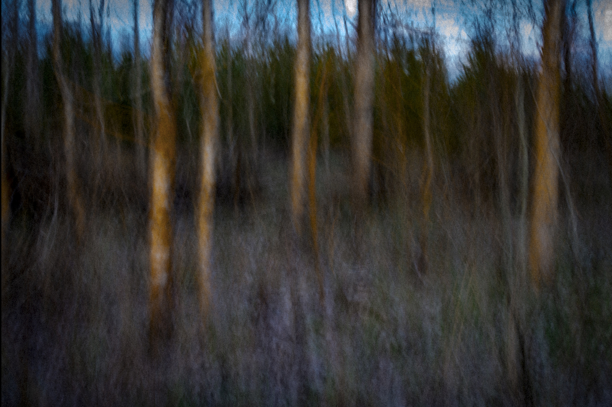 Березневі сутінки