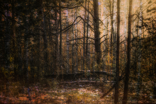 Попереду чекає нас весна