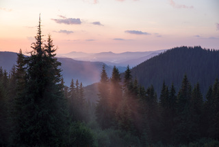 розовый туман