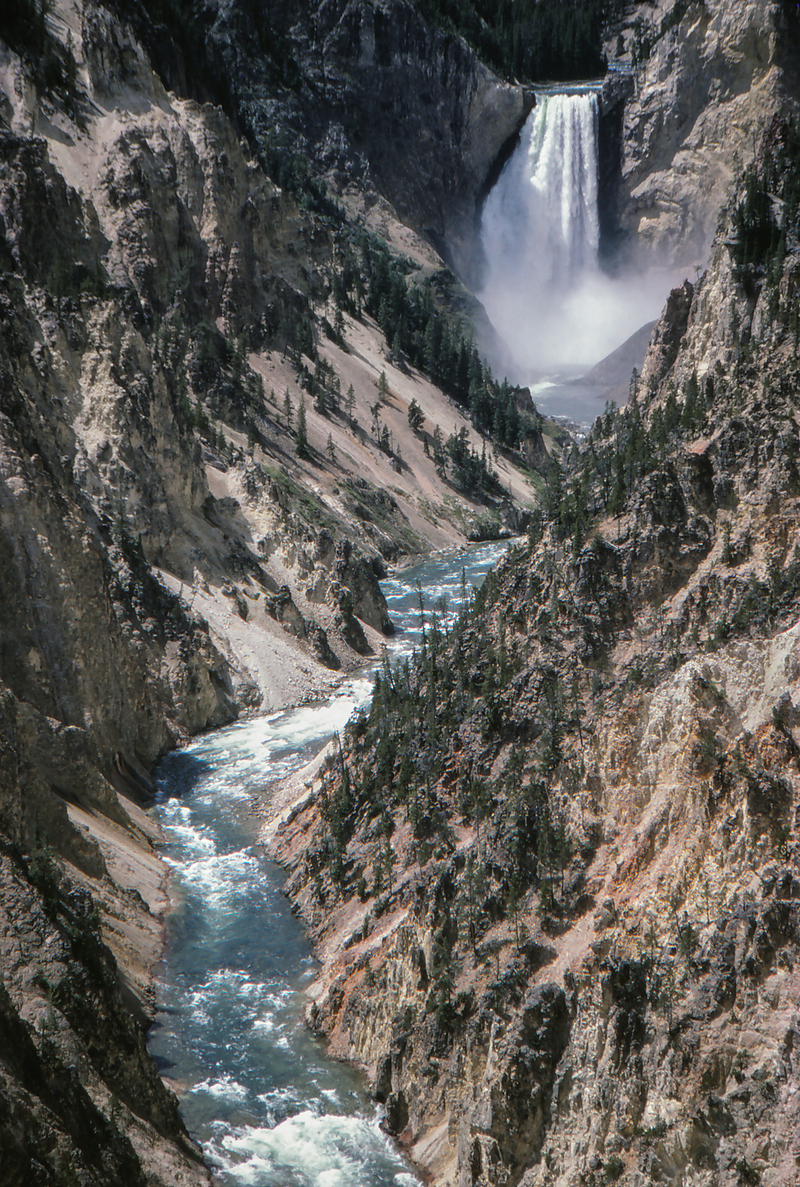 Grand Canyon of Yellowstone