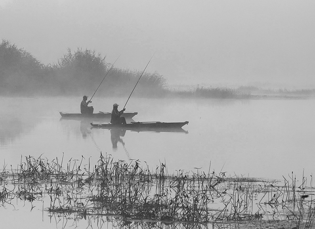 Синхроний закид