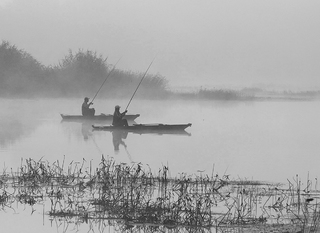 Синхроний закид