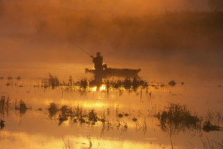 На сонячній доріжці