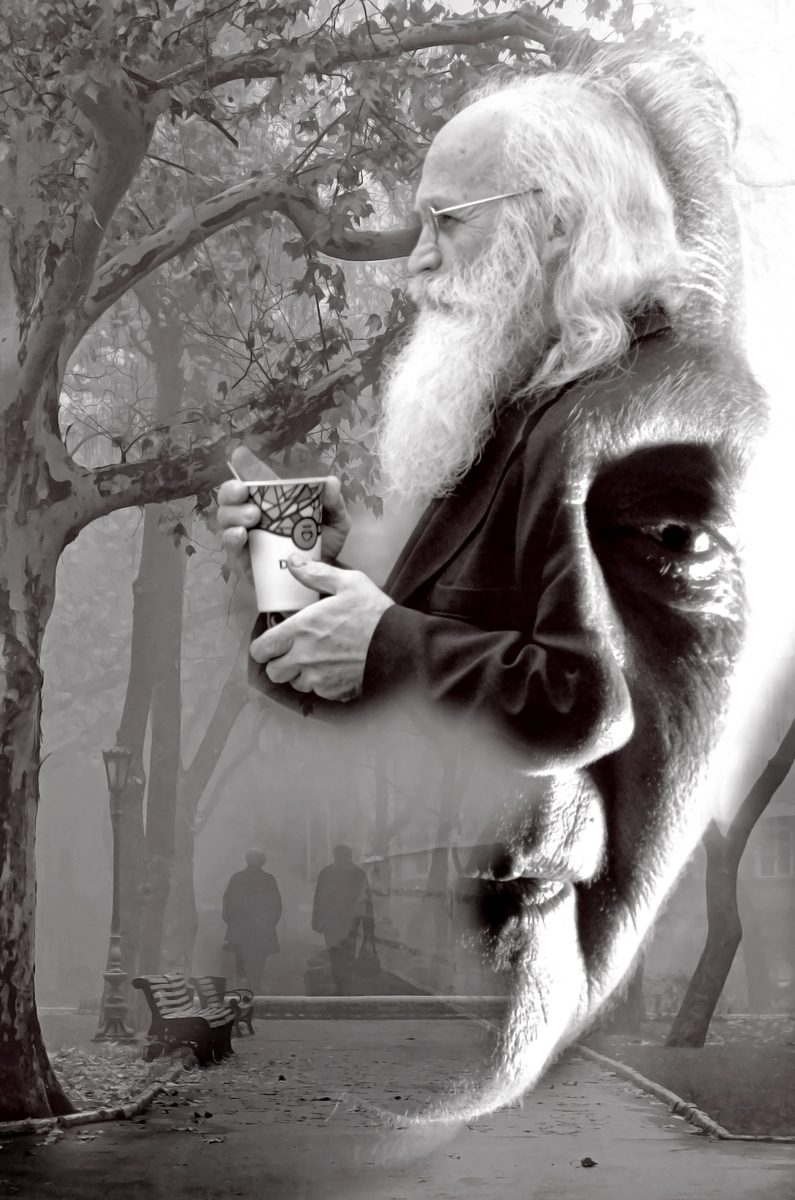 Осень жизни