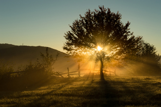 Игра утреннего света
