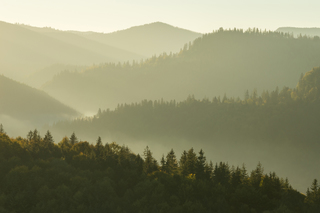 Утро в Карпатах