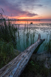 Палитра лета