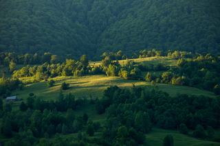 Свет уходящего дня