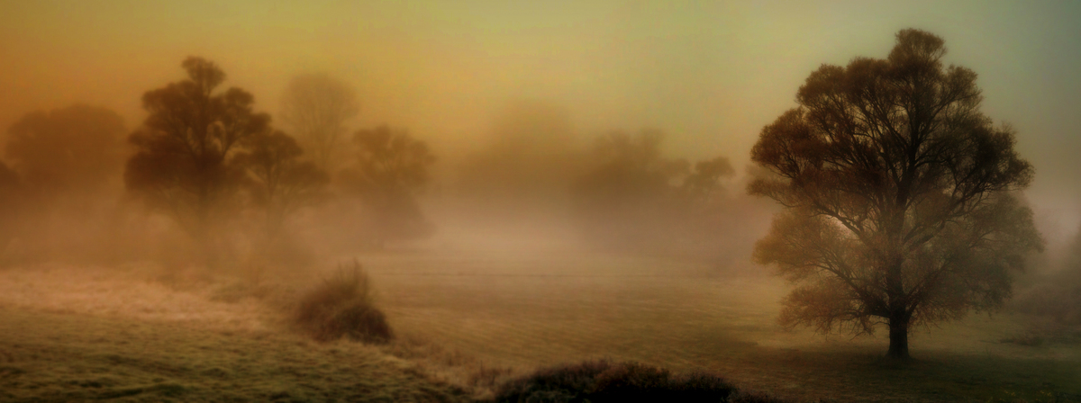Landscape in the Mist