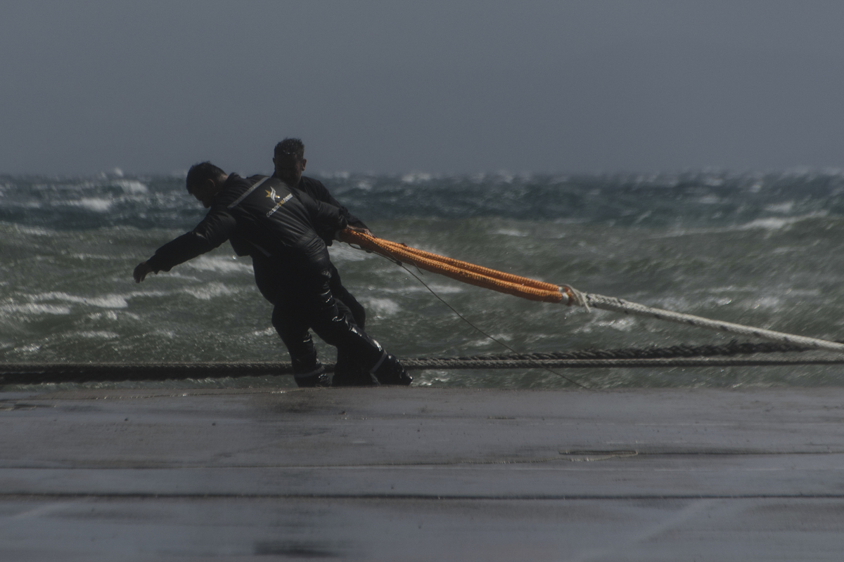 Câblage sous la tempête LR-8779
