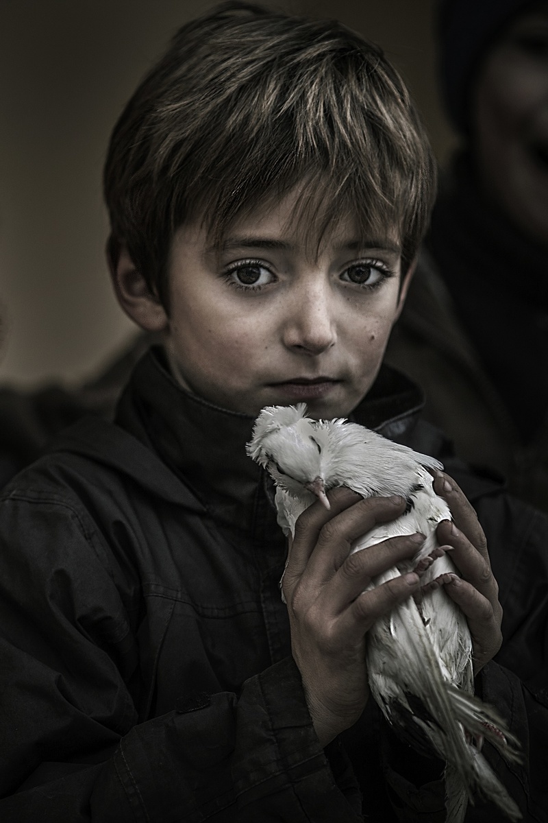 Boy with a dove