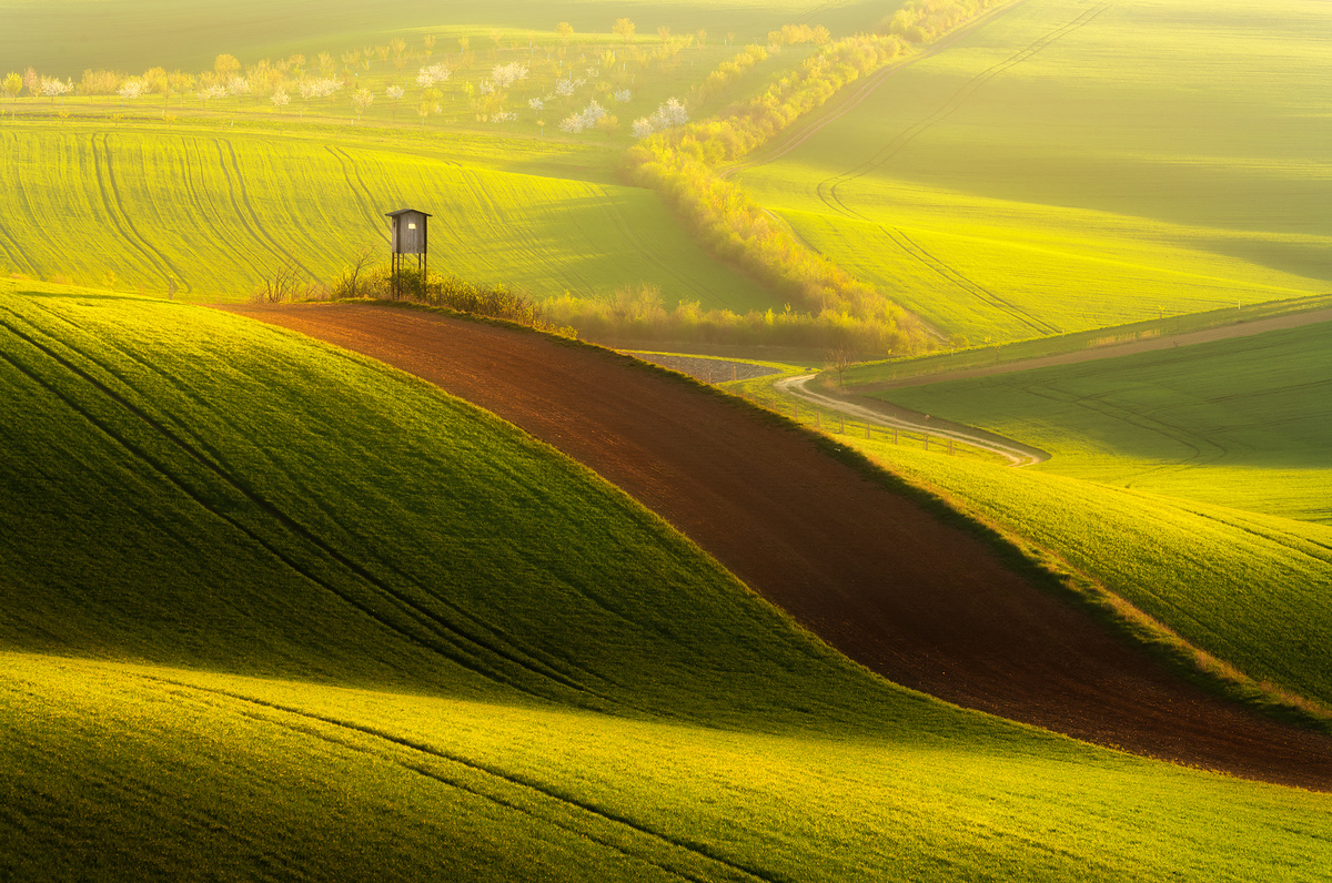 Лайм и шоколад