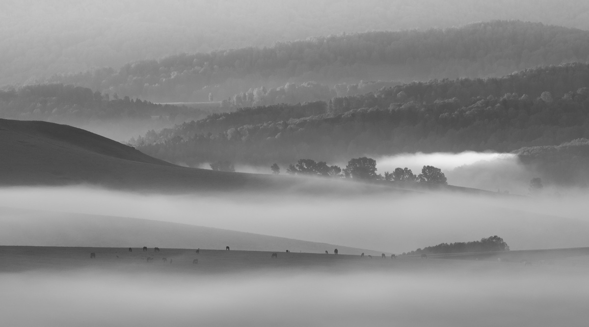 Туманное утро