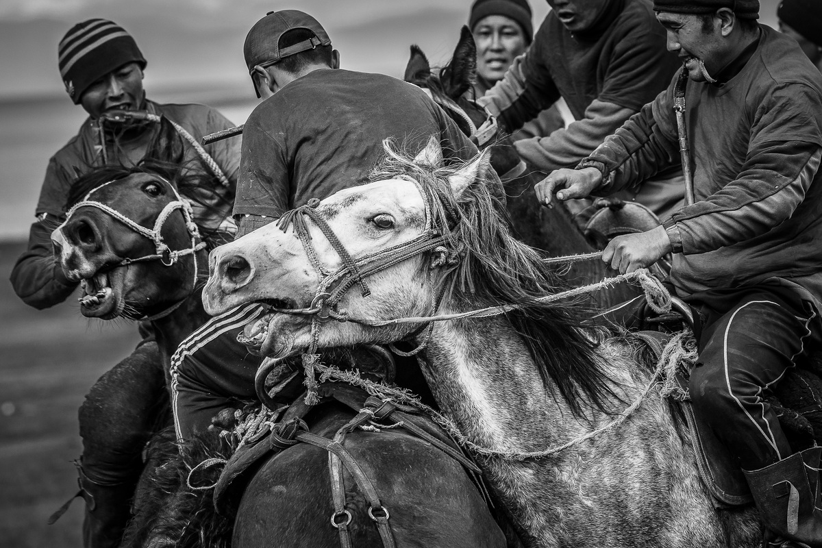 Buzkashi