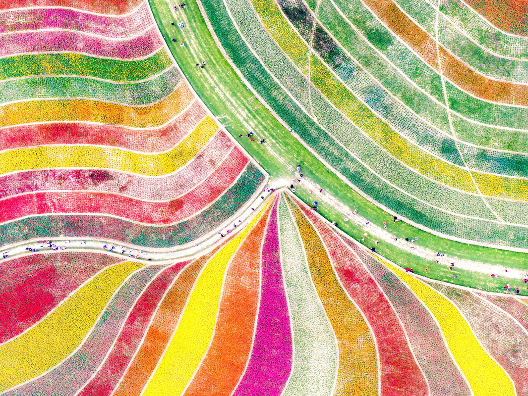 Tour in flower fields