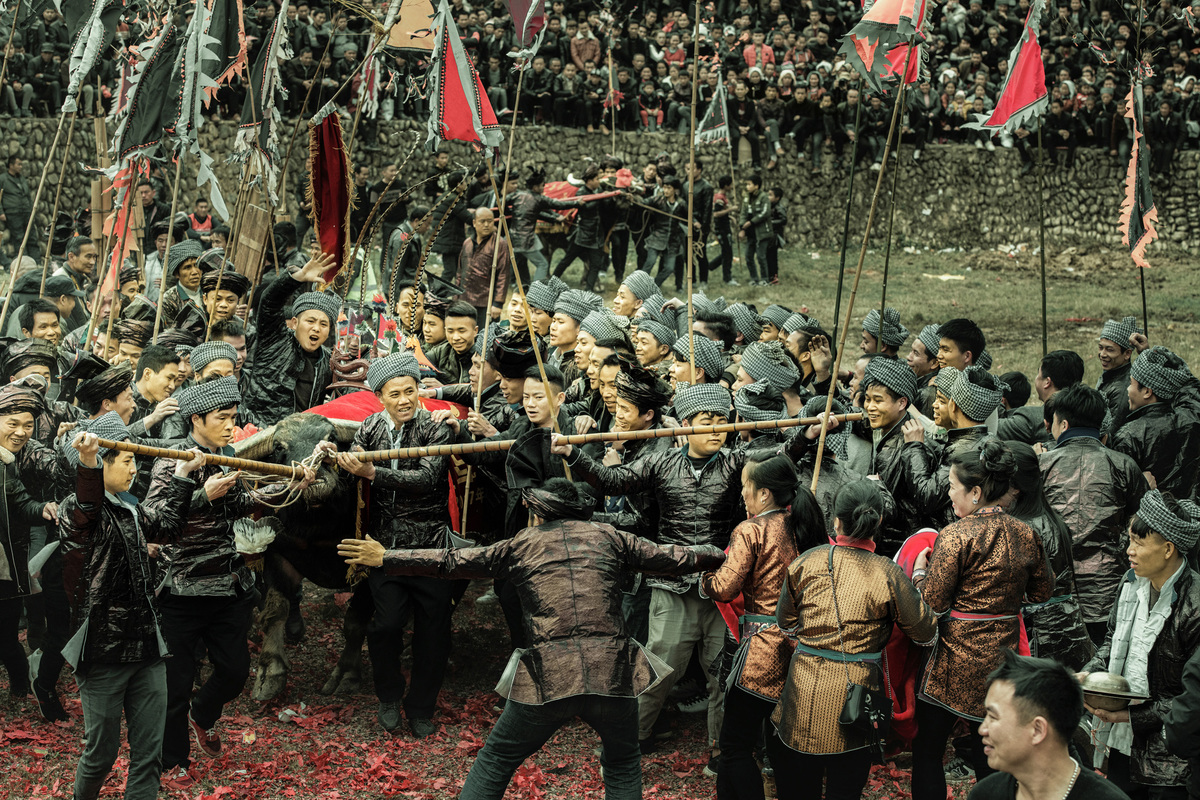 Jubilant bullfight festival