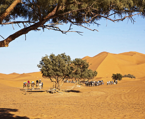 photographer in desert