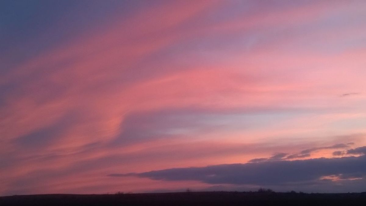 Подарунок від Бау