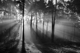 Осінні промені