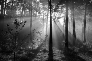 Гра світотіні