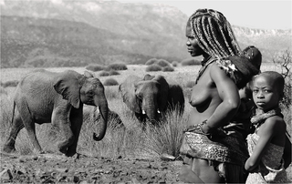 Baby elephant coming