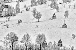 Trees and haystacks
