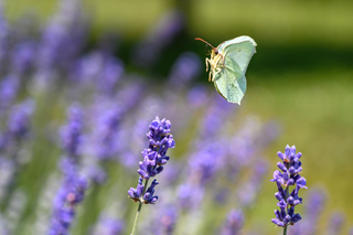 точная посадка