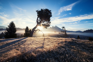 Rising sun above Alps