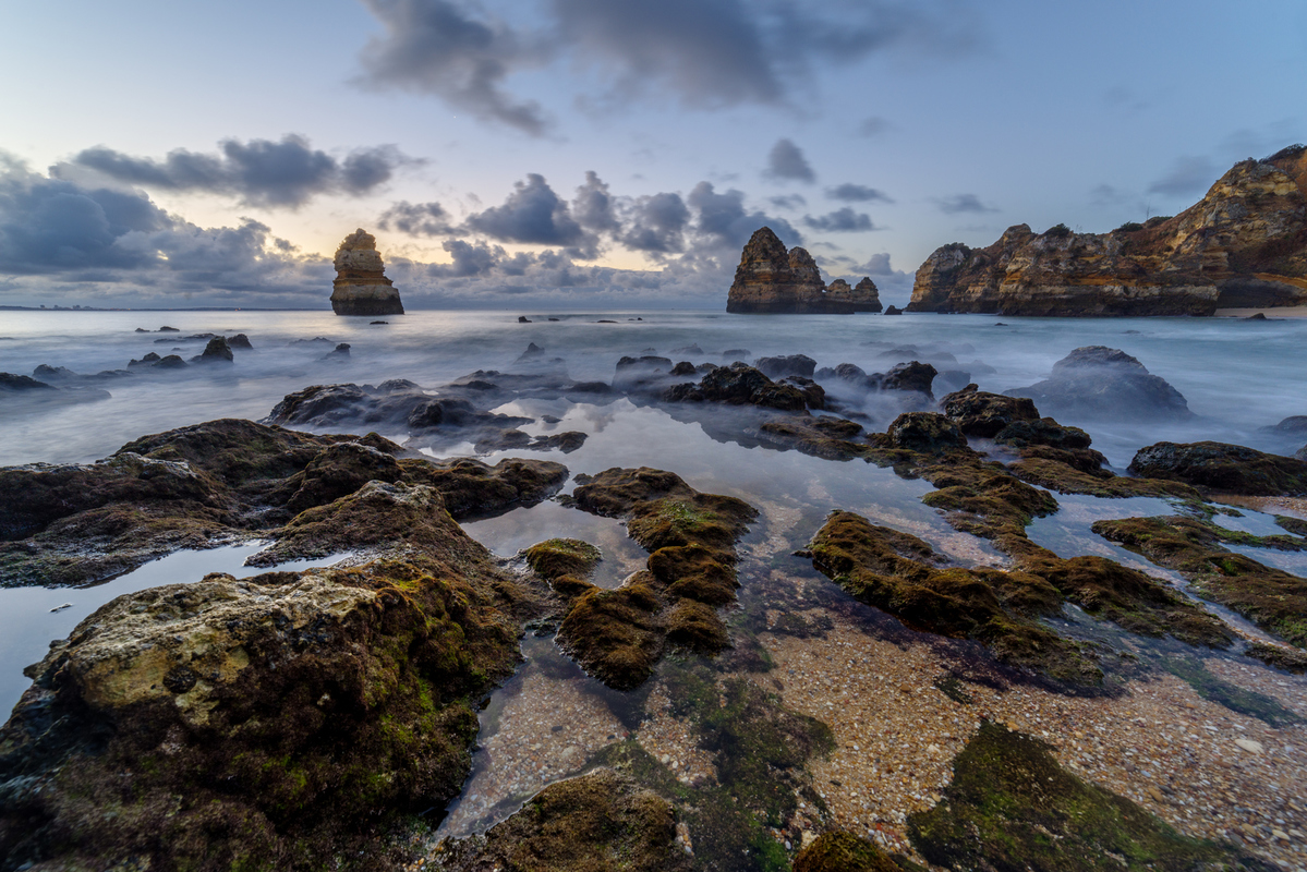 Зубы дракона