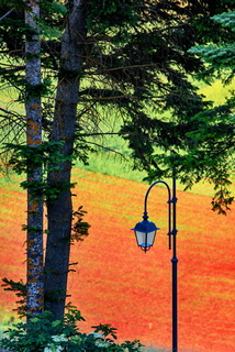 Landscaspe with street lamp