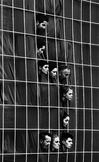 Now we are in a cage