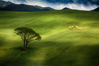 Colors of countryside 5