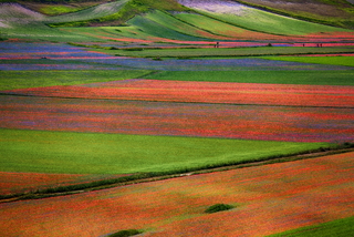 Colors of Castelluccio 2