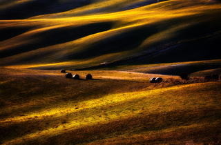 Countryside at nightfall