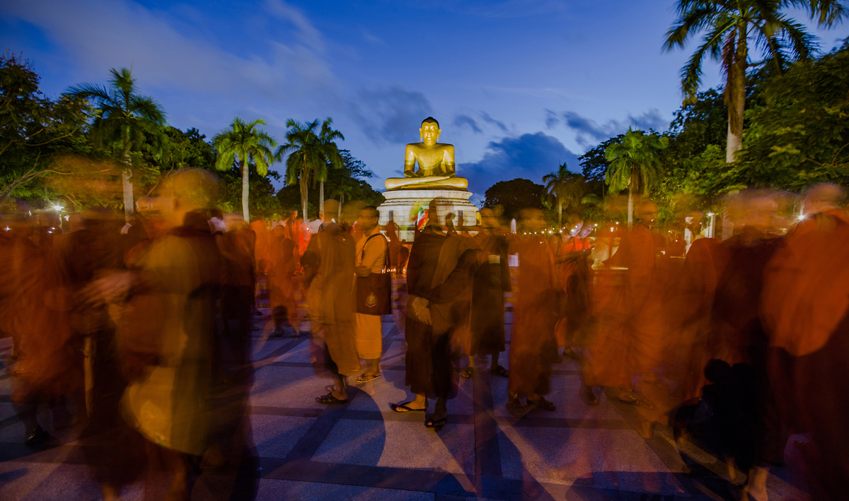 Solidarity in motion 