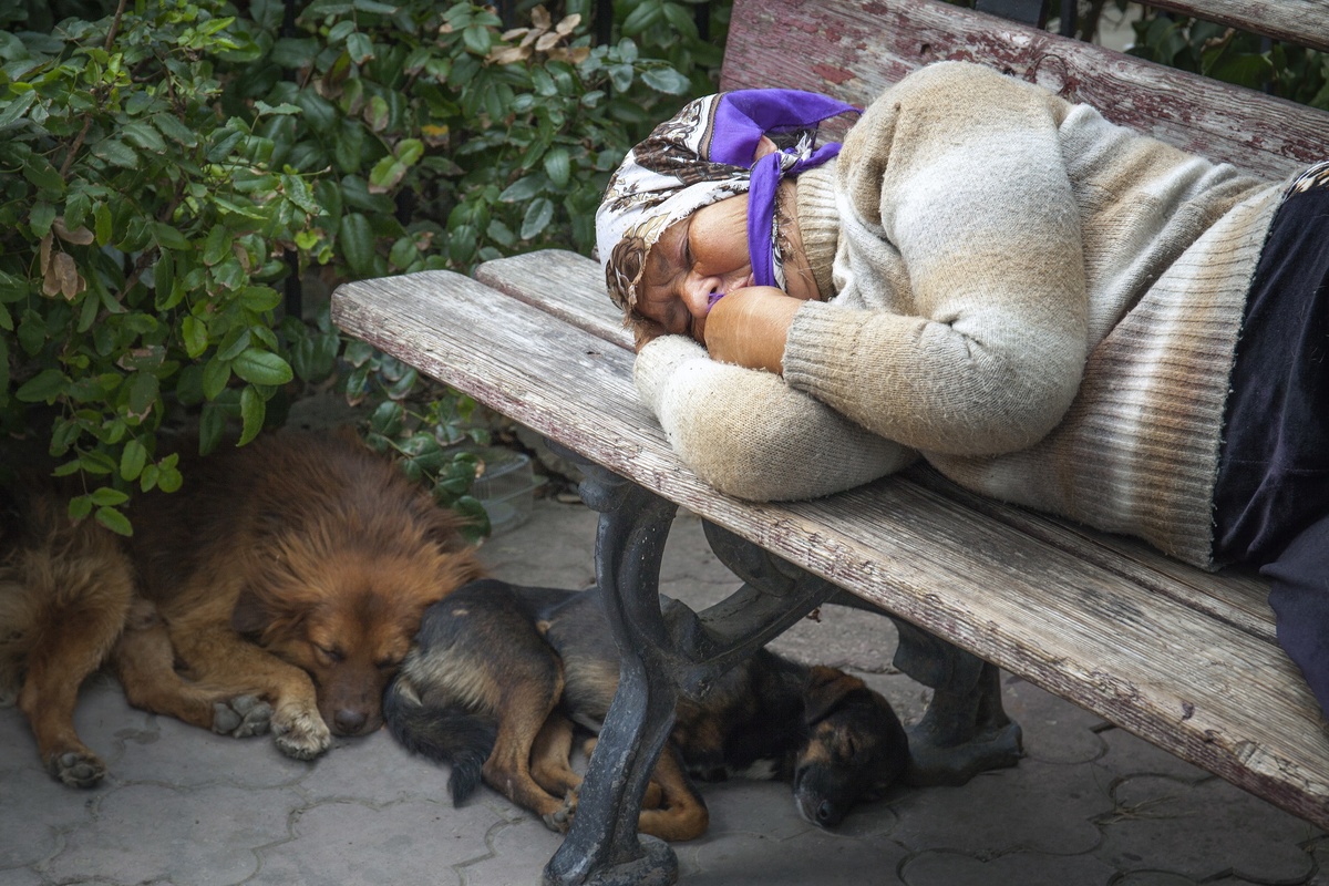 Сон в летний день-5