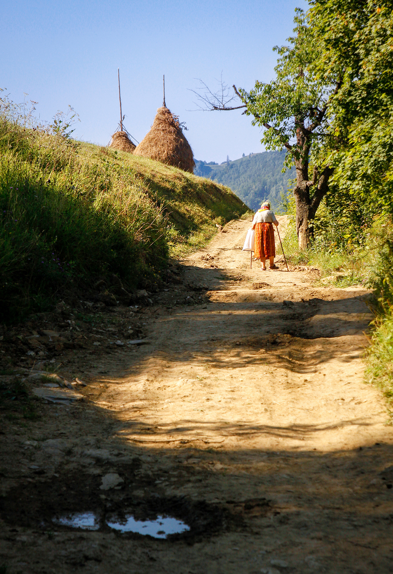 Дорога додому