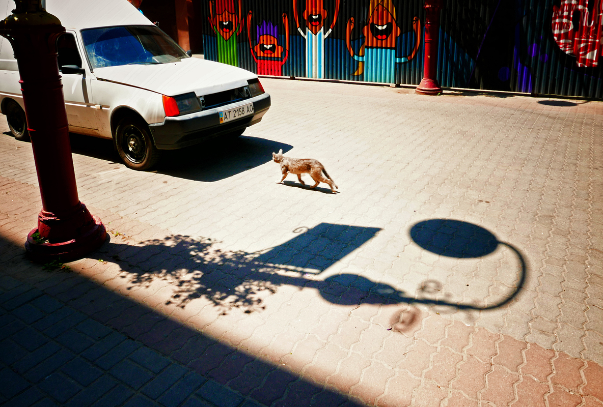 Вулицями Франківкська.