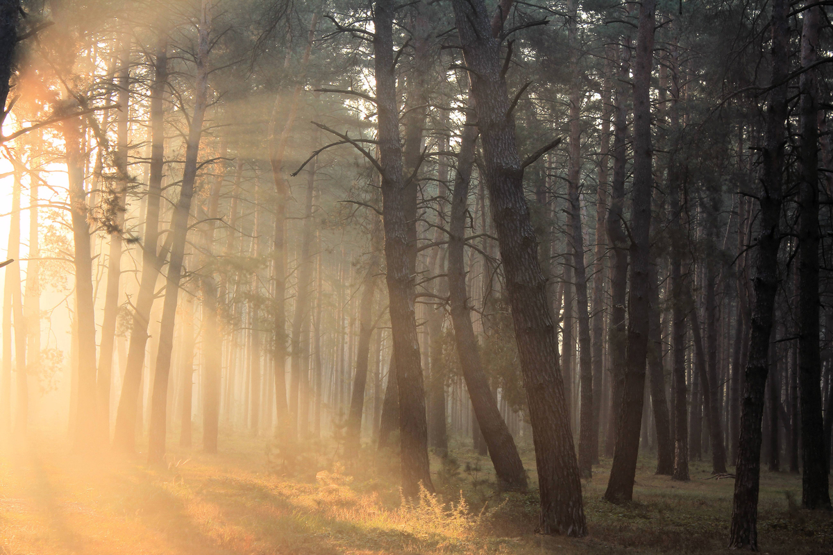 Октябрьским утром