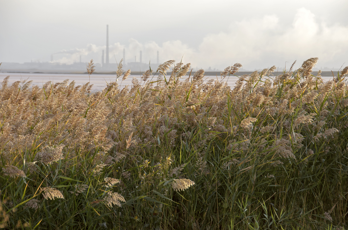 Про екологію
