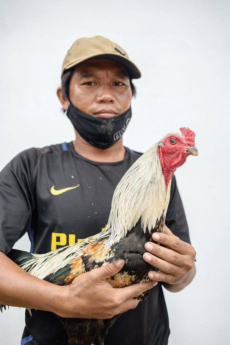 Portrait of an owner with his fighting rooster