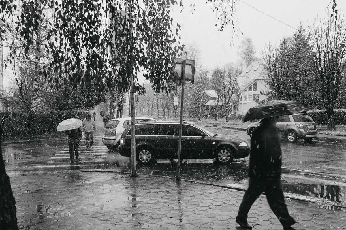 Перший сніг.