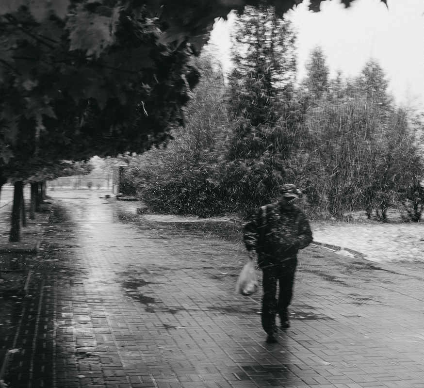 Перший сніг (2)