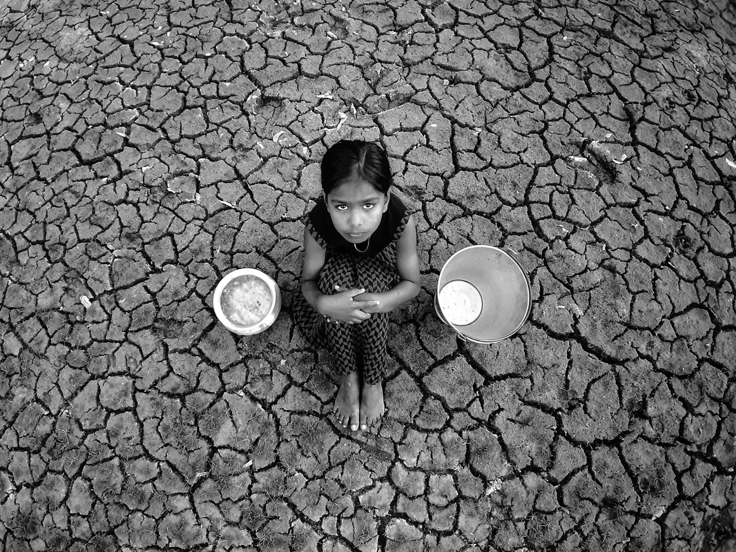 Seeking Water for Survival