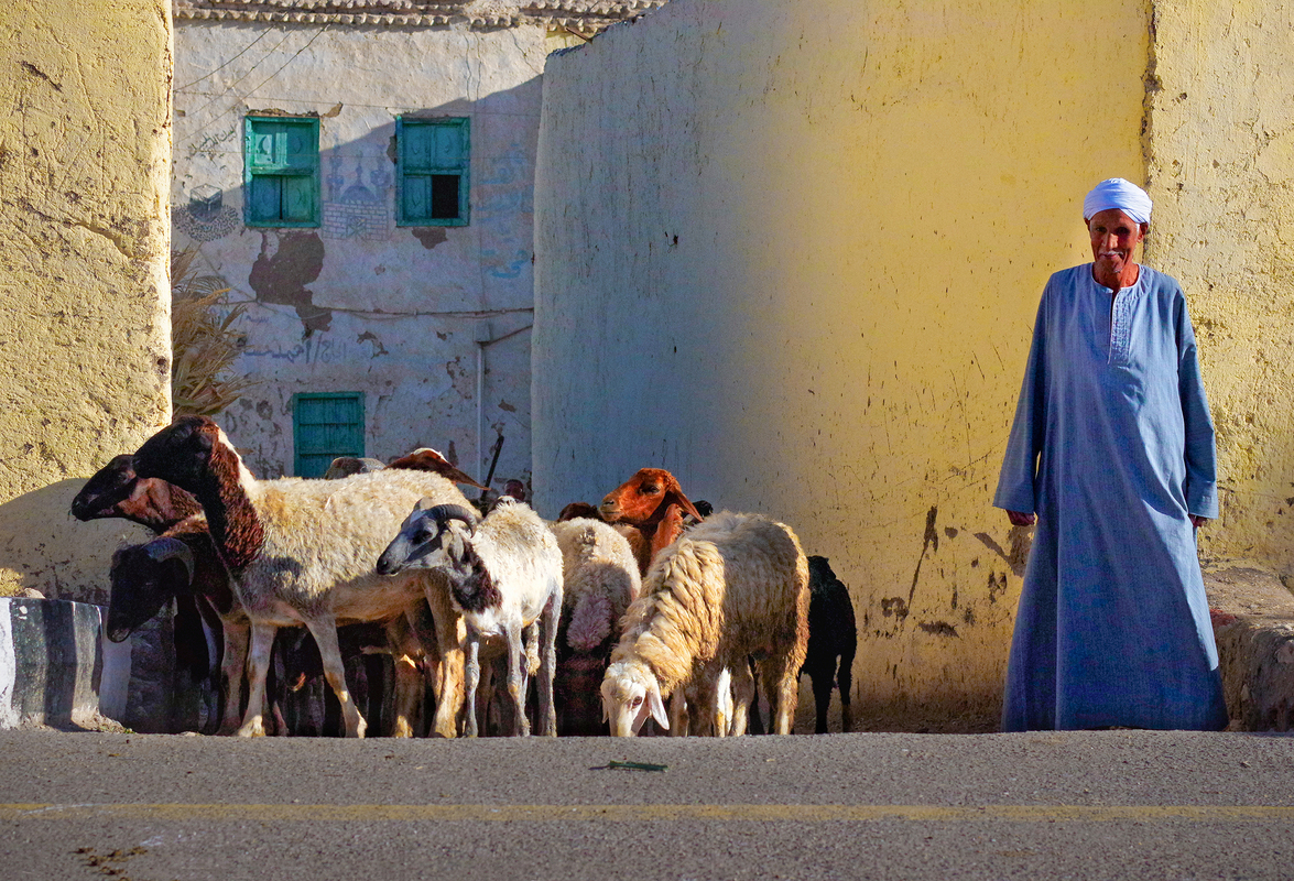 Африканська пастораль.