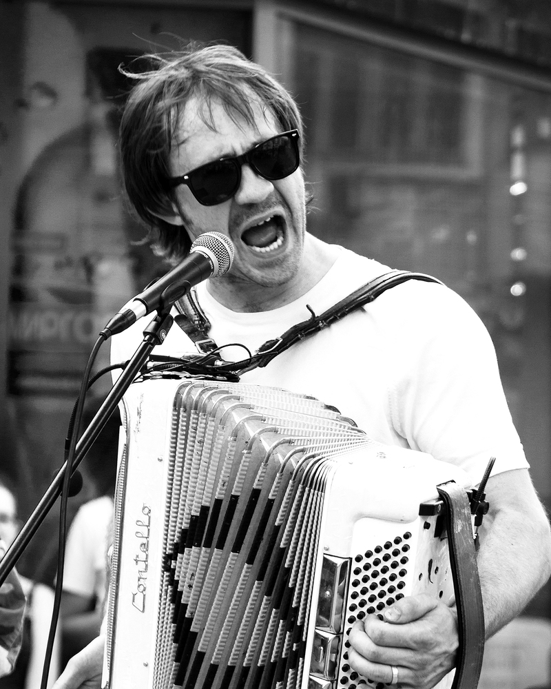 Эх, гармонь!...