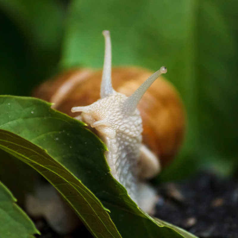 Не снимайте меня, я не одета))